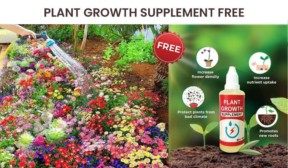 Kartsyy Flower Seeds – Pack of 100 + Free Growth Supplement
