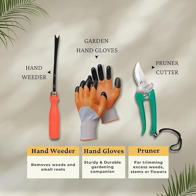 Kartsyy 6-in-1 Garden Tool Set with Box
