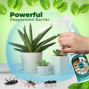 Kartsyy All-in-One Pest Repellent Spray – 250ML