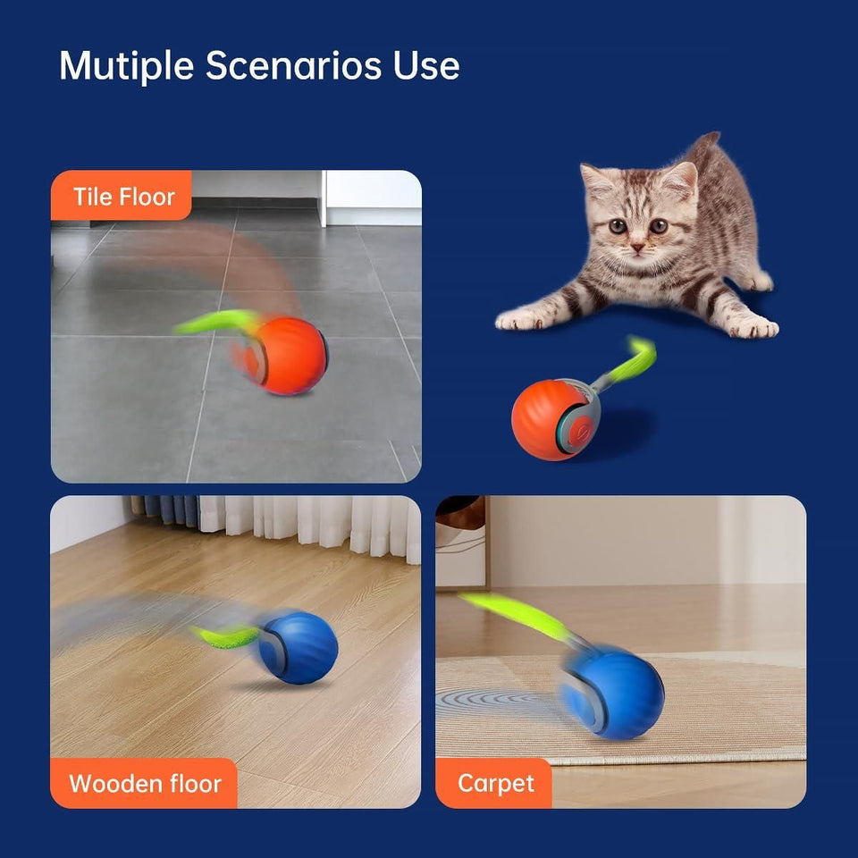 Kartsyy Rolling Ball Cat Toy