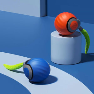 Kartsyy Rolling Ball Cat Toy