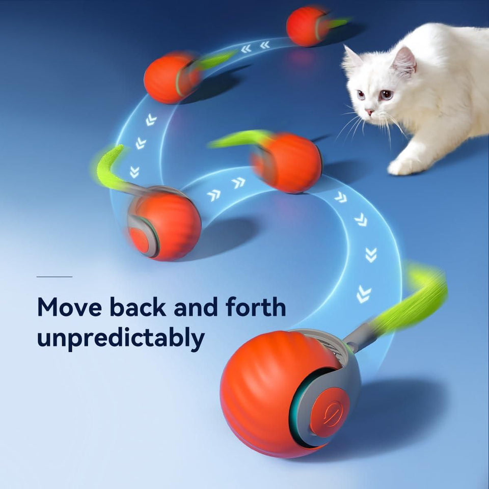 Kartsyy Rolling Ball Cat Toy